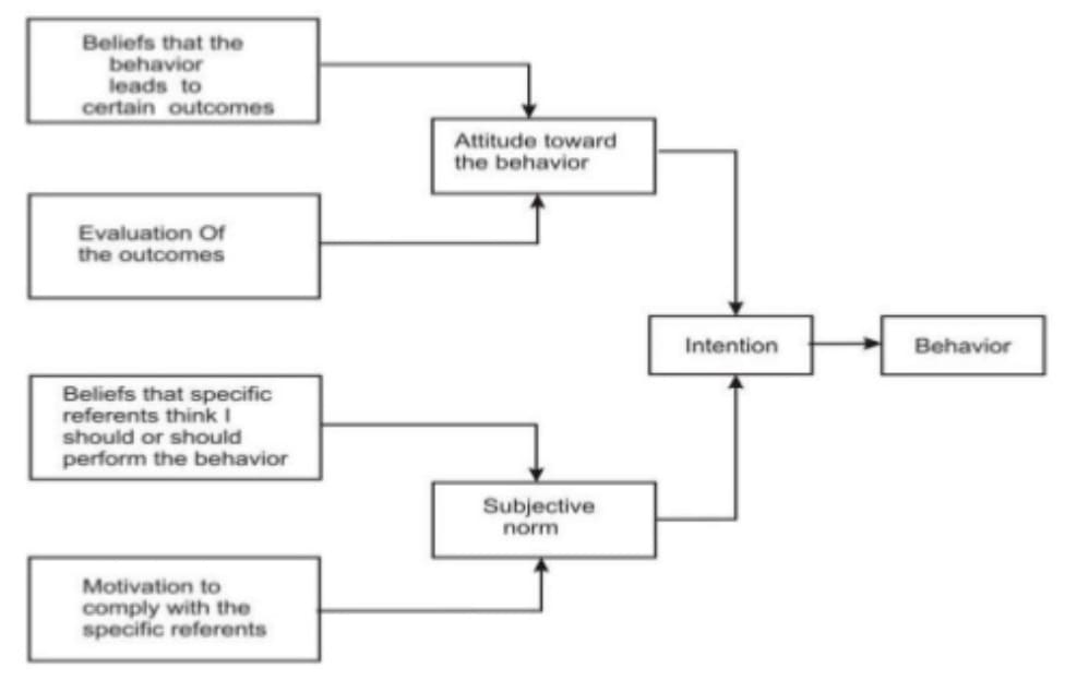 Theory-of-Reasoned-Action Multi Attribute Model